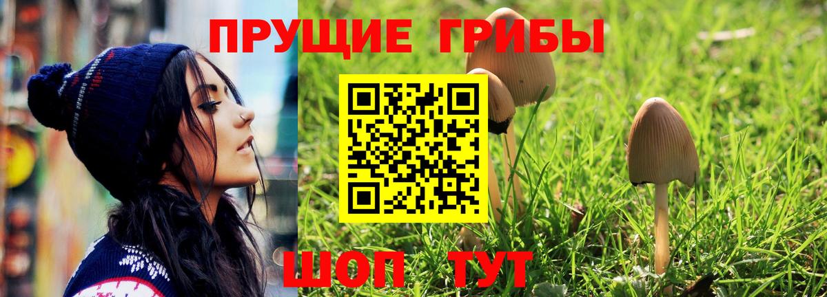 Псилоцибиновые грибы мицелий  Вход с VPN  Кстово  Галлюциногенные грибы MAGIC MUSHROOMS 
